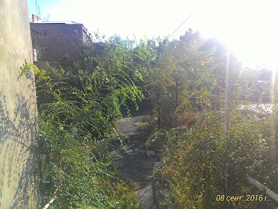 Photos of Մրգի Խանութ