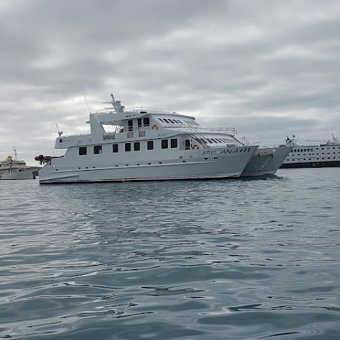 Yacht Catamaran Anahi by null