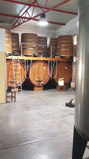 Cantina - Casa Vinicola Pallavicino - Thumbnail