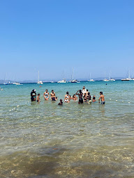 Photo n°17 de Odel à Toulon (Association ou organisation)