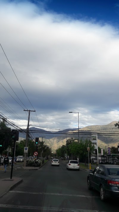 Photos of Punto Vivo