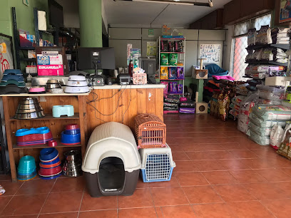 PuntoVet 8 (Los Teros)