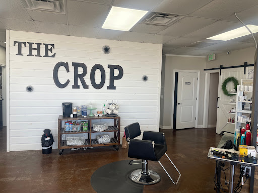 The Crop - Visual