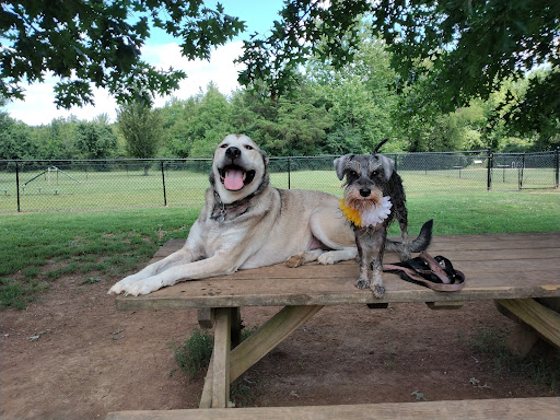 Murfreesboro Bark Park - Thumbnail