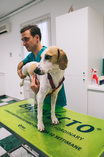 Il Mio Veterinario srl - Azzano Mella - Thumbnail