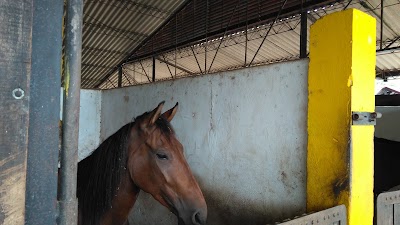 Photos of Parque Las Malocas - Catama