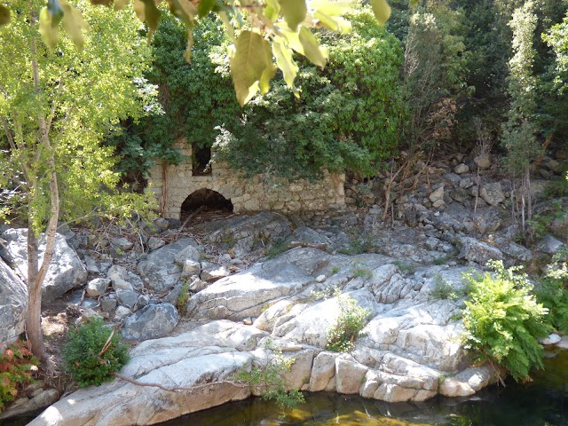 Gorges de l'Asco