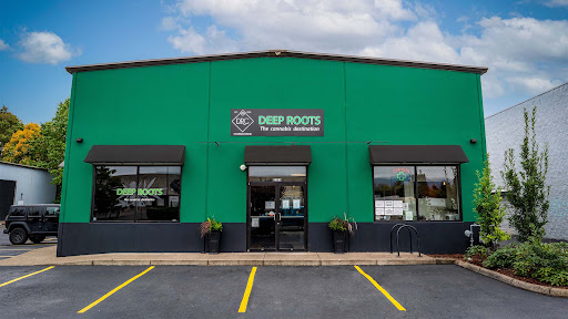 Deep Roots - Visual