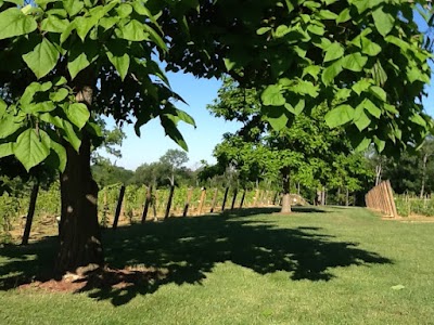 Holtkamp Winery