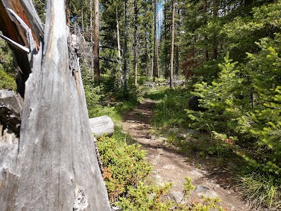 Whitehouse Campground and Picnic Area