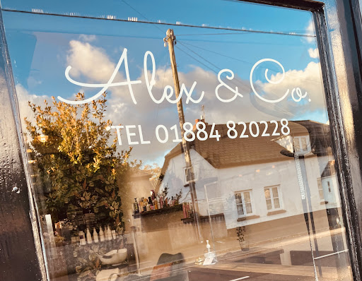 Alex & Co. - Thumbnail