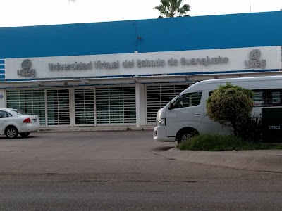 Photos of Virtual University of the State of Guanajuato, jacarandas