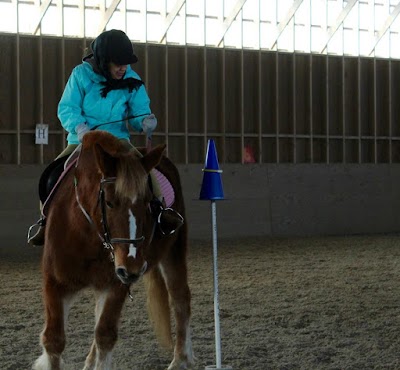 Gaits of Harmony Therapeutic Riding