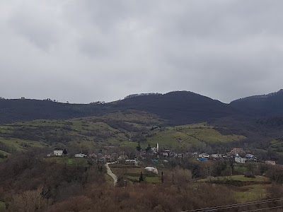 Kozlu Village