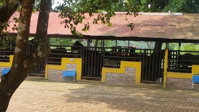 Photos of Villa Rosalinda del Llano