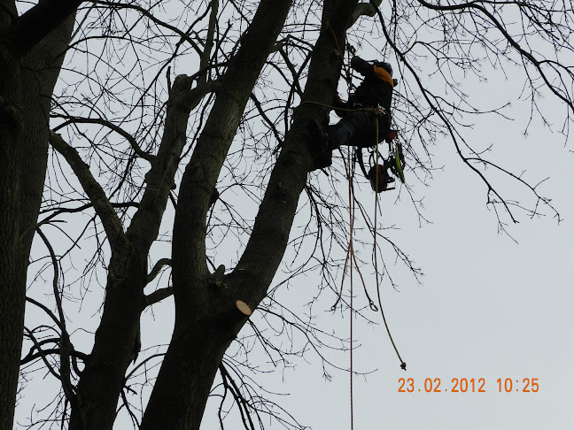 Oakwood Garden Services