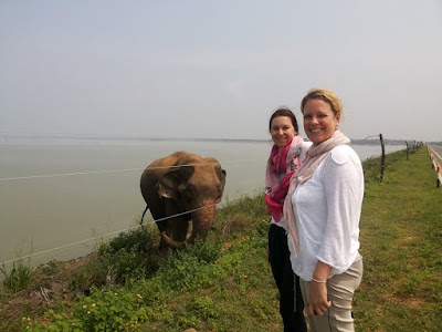 Photos of Chauffeur Sri Lanka by dohansa lanka tours