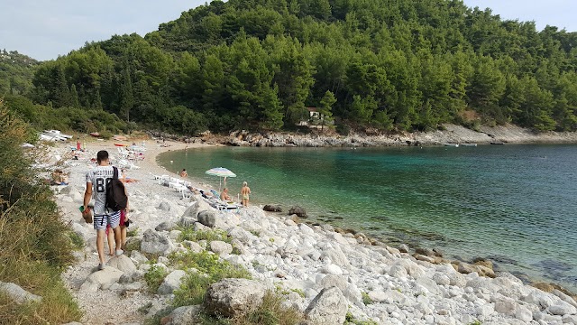 Mer Adriatique