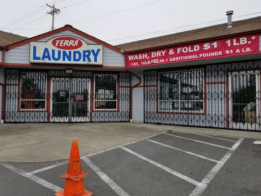 Terra Laundry - Visual