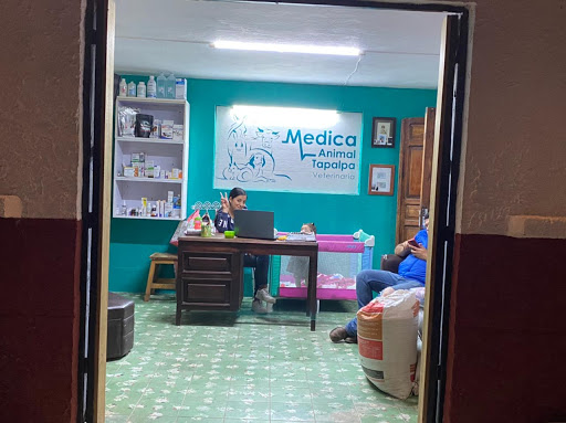 Medica Animal Tapalpa Veterinaria - Thumbnail