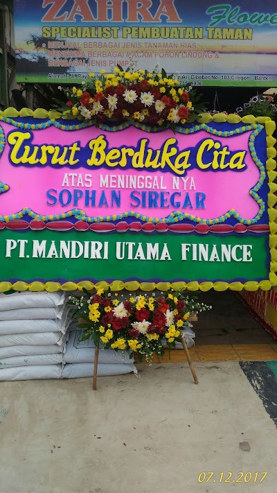 Photos of Zahra Flower