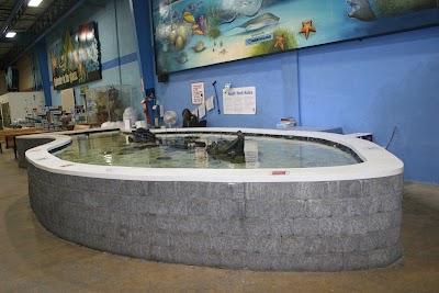 Photos of That Fish Place - That Pet Place