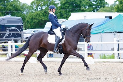 Photos of V&auml;&auml;na Stables / Nautilo O&Uuml;