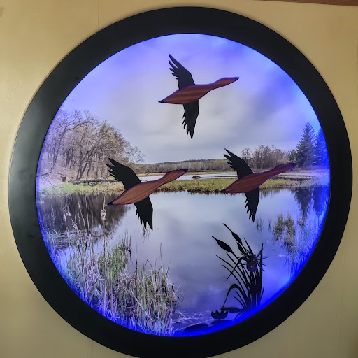 3 Ducks in Flight - Thumbnail