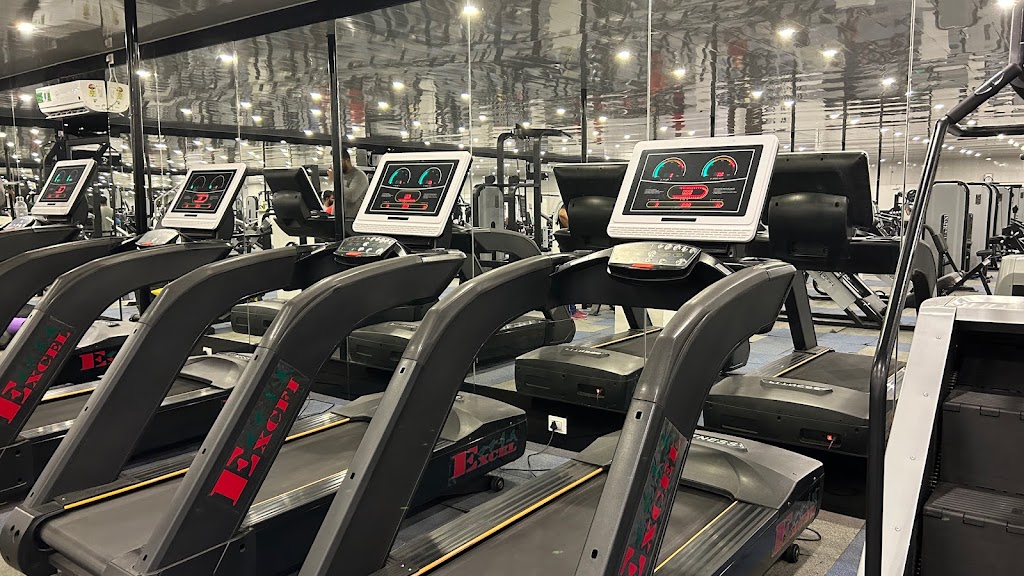 Boston Fitness Circuit Premium Gymnasium
