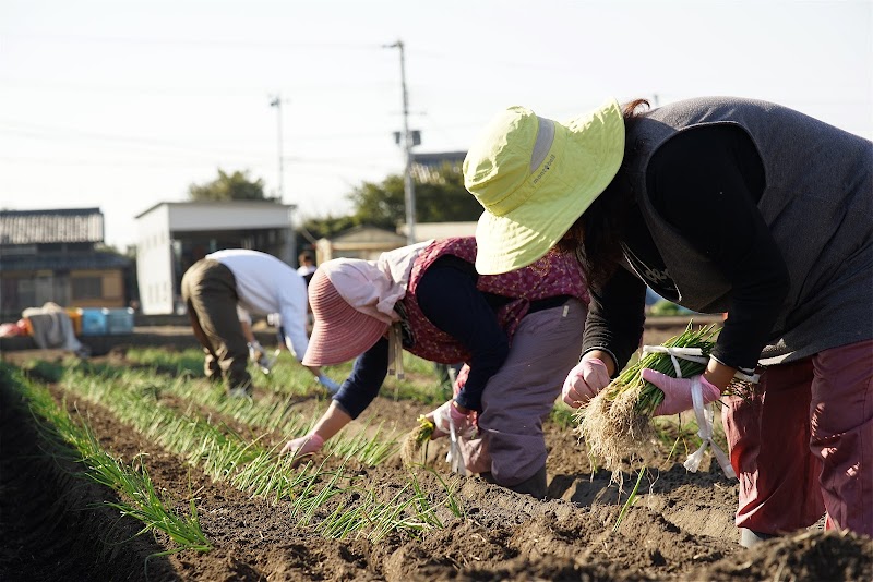 ケンちゃんファーム