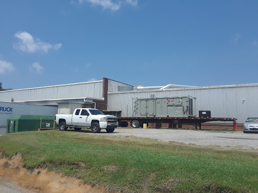 Dixie-darlington - Thumbnail
