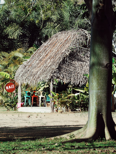 RAIZ - Cocina Cultural