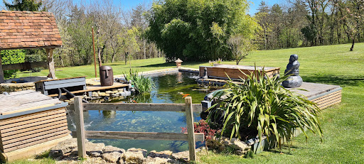 Photo de SÉLECTION KOÏ