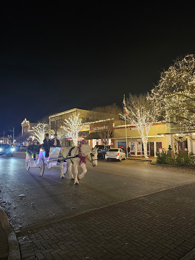 Historic Georgetown - Visual