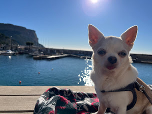 Photo n°88 de Le Bistro - Restaurant Cassis à Cassis (Restaurant français)