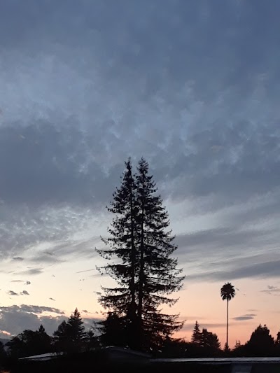 Rohnert Park Station