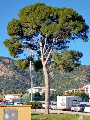 Area parcheggio del Palazzetto dello Sport Gallery - Italy