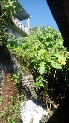 Jiménez - Visual
