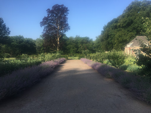 Moestuin Zuylestein