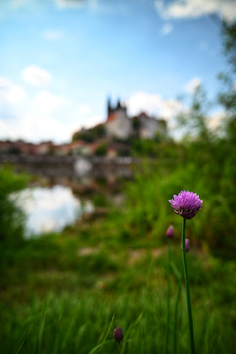 Elbblick Albrechtsburg Gallery - Germany