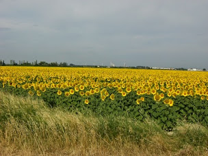 Photo n°22 de Via Domitia Immobilier à Saint-Étienne-du-Grès (Agence de location immobilière)