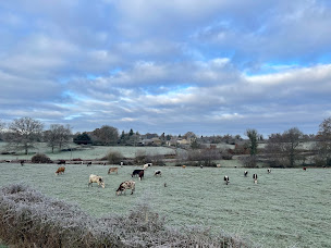 Photo n°32 de La vallée des vaches à Magnac-Laval (Ferme)