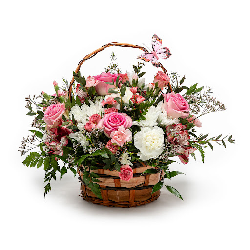Between Flowers Design - Visual