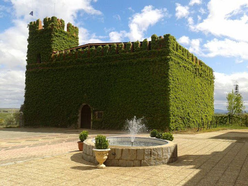 Coloma Viñedos y Bodegas