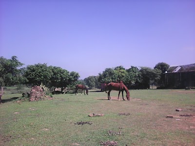 Photos of Sonab Resort