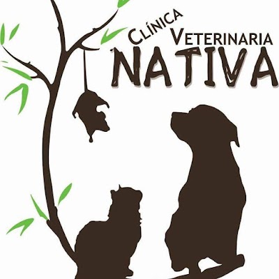 Photos of Native Veterinary Clinic