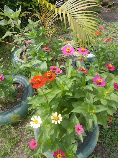 Photos of Parque Margaritas