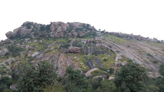 Jawai