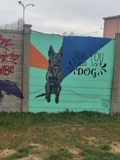 Murale Shark - Thumbnail