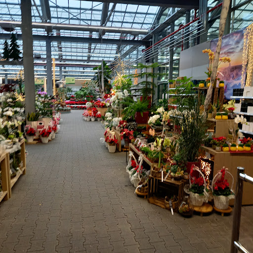 Schley's Blumenparadies Bochum GmbH & Co.KG - Thumbnail